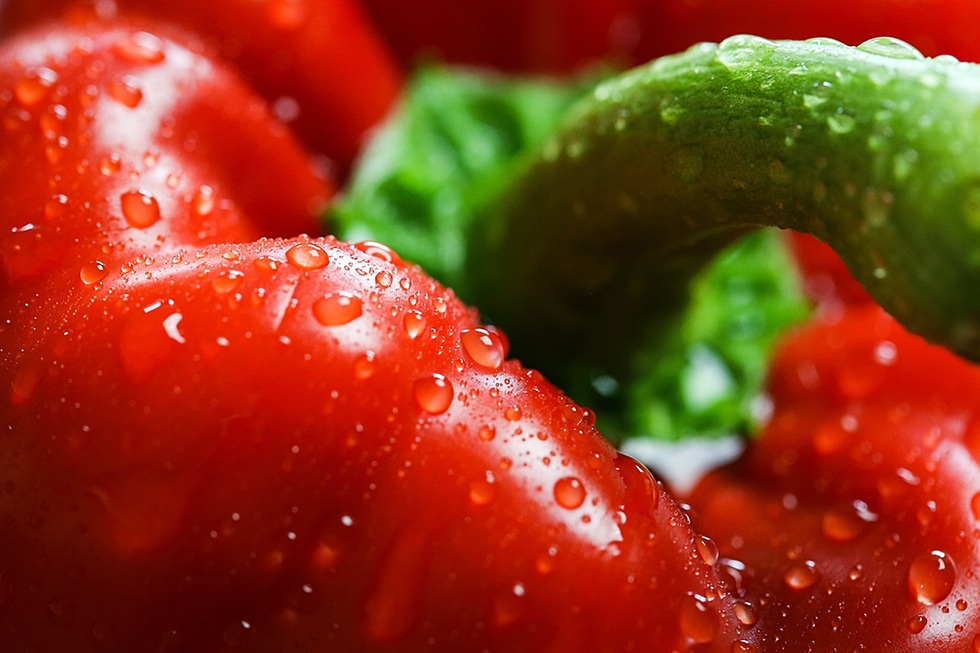 Red Paprika with Drops Close Up