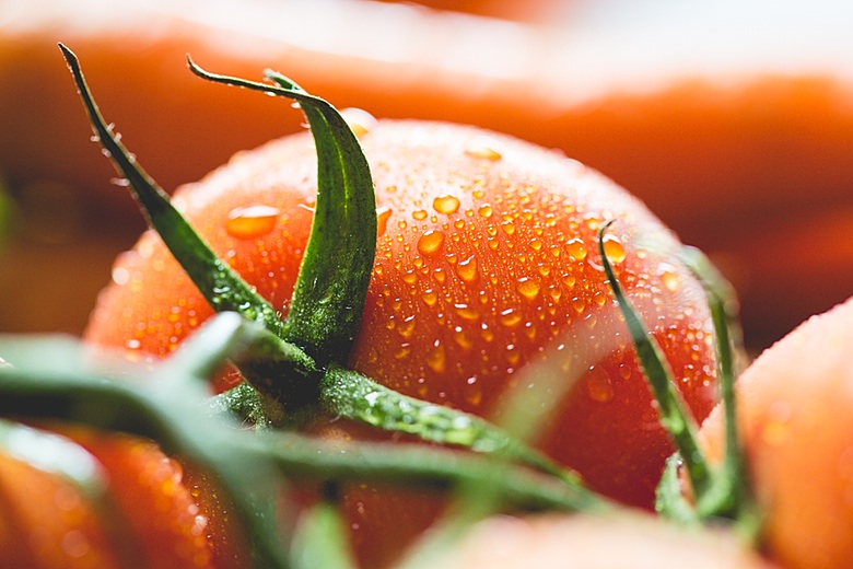Wet Tomato Close Up