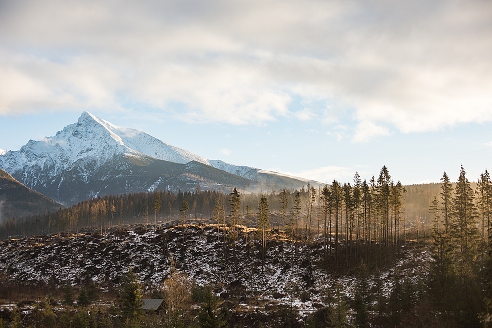 Big Mountain and Morning Woods Scenery
