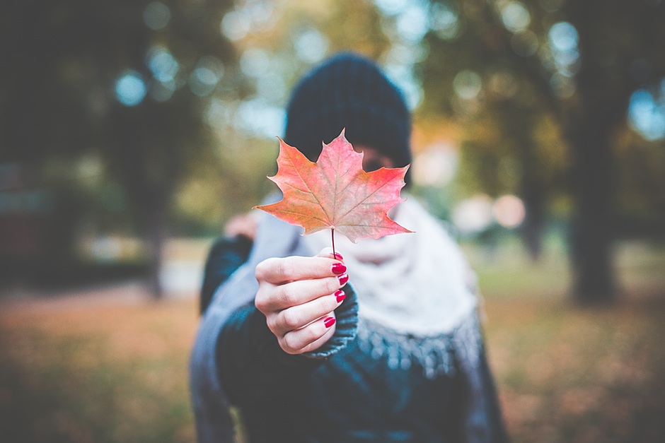 Young Girl Holding Autumn Colored Maple Leaf #2