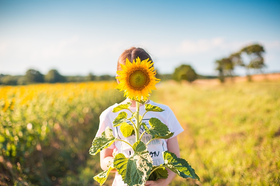Little Girl with Sunflower in a Sunflower Field